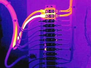 Infrared Thermal Scan Image