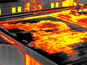 Infrared Thermography Image