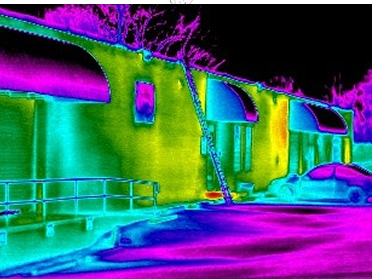 Infrared Thermography Image